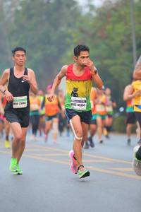 BIB: 45354, 2563
                            <button type="button" onclick="openModal(7583217)" class="btn btn-primary btn-sm float-right btn-popup" data-toggle="modal" data-target=".modal-high-quality">
                        <i class="fas fa-shopping-cart"></i> Add to Cart
                    </button>
                                            <button type="button" onclick="isThisMe(7583217, true)" class="btn btn-success btn-sm float-right btn-popup btn-isme hidden" data-toggle="tooltip" data-placement="bottom" title="นี่คือรูปของคุณใช่ไหม คลิกที่นี่เพื่อเอาเข้าอัลบั้ม">
                        <i class="fas fa-plus"></i> Add to album
                    </button>
                    <button type="button" onclick="isThisMe(7583217, false)" class="btn btn-warning btn-sm float-right btn-popup btn-isnotme hidden">
                        <i class="fas fa-ban"></i> Remove from album
                    </button>