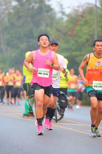 BIB: 28148, 2500, 2197
                            <button type="button" onclick="openModal(7630163)" class="btn btn-primary btn-sm float-right btn-popup" data-toggle="modal" data-target=".modal-high-quality">
                        <i class="fas fa-shopping-cart"></i> Add to Cart
                    </button>
                                            <button type="button" onclick="isThisMe(7630163, true)" class="btn btn-success btn-sm float-right btn-popup btn-isme hidden" data-toggle="tooltip" data-placement="bottom" title="นี่คือรูปของคุณใช่ไหม คลิกที่นี่เพื่อเอาเข้าอัลบั้ม">
                        <i class="fas fa-plus"></i> Add to album
                    </button>
                    <button type="button" onclick="isThisMe(7630163, false)" class="btn btn-warning btn-sm float-right btn-popup btn-isnotme hidden">
                        <i class="fas fa-ban"></i> Remove from album
                    </button>
