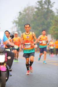 BIB: 47718
                            <button type="button" onclick="openModal(7648714)" class="btn btn-primary btn-sm float-right btn-popup" data-toggle="modal" data-target=".modal-high-quality">
                        <i class="fas fa-shopping-cart"></i> Add to Cart
                    </button>
                                            <button type="button" onclick="isThisMe(7648714, true)" class="btn btn-success btn-sm float-right btn-popup btn-isme hidden" data-toggle="tooltip" data-placement="bottom" title="นี่คือรูปของคุณใช่ไหม คลิกที่นี่เพื่อเอาเข้าอัลบั้ม">
                        <i class="fas fa-plus"></i> Add to album
                    </button>
                    <button type="button" onclick="isThisMe(7648714, false)" class="btn btn-warning btn-sm float-right btn-popup btn-isnotme hidden">
                        <i class="fas fa-ban"></i> Remove from album
                    </button>