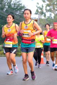 BIB: 10135, 15455
                            <button type="button" onclick="openModal(8426392)" class="btn btn-primary btn-sm float-right btn-popup" data-toggle="modal" data-target=".modal-high-quality">
                        <i class="fas fa-shopping-cart"></i> Add to Cart
                    </button>
                                            <button type="button" onclick="isThisMe(8426392, true)" class="btn btn-success btn-sm float-right btn-popup btn-isme hidden" data-toggle="tooltip" data-placement="bottom" title="นี่คือรูปของคุณใช่ไหม คลิกที่นี่เพื่อเอาเข้าอัลบั้ม">
                        <i class="fas fa-plus"></i> Add to album
                    </button>
                    <button type="button" onclick="isThisMe(8426392, false)" class="btn btn-warning btn-sm float-right btn-popup btn-isnotme hidden">
                        <i class="fas fa-ban"></i> Remove from album
                    </button>