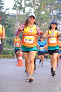 BIB: 11042, 1626
                            <button type="button" onclick="openModal(8431230)" class="btn btn-primary btn-sm float-right btn-popup" data-toggle="modal" data-target=".modal-high-quality">
                        <i class="fas fa-shopping-cart"></i> Add to Cart
                    </button>
                                            <button type="button" onclick="isThisMe(8431230, true)" class="btn btn-success btn-sm float-right btn-popup btn-isme hidden" data-toggle="tooltip" data-placement="bottom" title="นี่คือรูปของคุณใช่ไหม คลิกที่นี่เพื่อเอาเข้าอัลบั้ม">
                        <i class="fas fa-plus"></i> Add to album
                    </button>
                    <button type="button" onclick="isThisMe(8431230, false)" class="btn btn-warning btn-sm float-right btn-popup btn-isnotme hidden">
                        <i class="fas fa-ban"></i> Remove from album
                    </button>