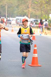 BIB: 
                            <button type="button" onclick="openModal(9121046)" class="btn btn-primary btn-sm float-right btn-popup" data-toggle="modal" data-target=".modal-high-quality">
                        <i class="fas fa-shopping-cart"></i> Add to Cart
                    </button>
                                            <button type="button" onclick="isThisMe(9121046, true)" class="btn btn-success btn-sm float-right btn-popup btn-isme hidden" data-toggle="tooltip" data-placement="bottom" title="นี่คือรูปของคุณใช่ไหม คลิกที่นี่เพื่อเอาเข้าอัลบั้ม">
                        <i class="fas fa-plus"></i> Add to album
                    </button>
                    <button type="button" onclick="isThisMe(9121046, false)" class="btn btn-warning btn-sm float-right btn-popup btn-isnotme hidden">
                        <i class="fas fa-ban"></i> Remove from album
                    </button>