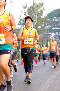 BIB: 10201
                            <button type="button" onclick="openModal(8450159)" class="btn btn-primary btn-sm float-right btn-popup" data-toggle="modal" data-target=".modal-high-quality">
                        <i class="fas fa-shopping-cart"></i> Add to Cart
                    </button>
                                            <button type="button" onclick="isThisMe(8450159, true)" class="btn btn-success btn-sm float-right btn-popup btn-isme hidden" data-toggle="tooltip" data-placement="bottom" title="นี่คือรูปของคุณใช่ไหม คลิกที่นี่เพื่อเอาเข้าอัลบั้ม">
                        <i class="fas fa-plus"></i> Add to album
                    </button>
                    <button type="button" onclick="isThisMe(8450159, false)" class="btn btn-warning btn-sm float-right btn-popup btn-isnotme hidden">
                        <i class="fas fa-ban"></i> Remove from album
                    </button>