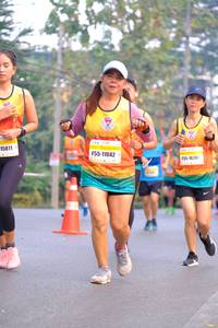 BIB: 15811, 11042, 16282, 
                            <button type="button" onclick="openModal(8431173)" class="btn btn-primary btn-sm float-right btn-popup" data-toggle="modal" data-target=".modal-high-quality">
                        <i class="fas fa-shopping-cart"></i> Add to Cart
                    </button>
                                            <button type="button" onclick="isThisMe(8431173, true)" class="btn btn-success btn-sm float-right btn-popup btn-isme hidden" data-toggle="tooltip" data-placement="bottom" title="นี่คือรูปของคุณใช่ไหม คลิกที่นี่เพื่อเอาเข้าอัลบั้ม">
                        <i class="fas fa-plus"></i> Add to album
                    </button>
                    <button type="button" onclick="isThisMe(8431173, false)" class="btn btn-warning btn-sm float-right btn-popup btn-isnotme hidden">
                        <i class="fas fa-ban"></i> Remove from album
                    </button>