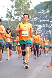 BIB: 11708
                            <button type="button" onclick="openModal(8441121)" class="btn btn-primary btn-sm float-right btn-popup" data-toggle="modal" data-target=".modal-high-quality">
                        <i class="fas fa-shopping-cart"></i> Add to Cart
                    </button>
                                            <button type="button" onclick="isThisMe(8441121, true)" class="btn btn-success btn-sm float-right btn-popup btn-isme hidden" data-toggle="tooltip" data-placement="bottom" title="นี่คือรูปของคุณใช่ไหม คลิกที่นี่เพื่อเอาเข้าอัลบั้ม">
                        <i class="fas fa-plus"></i> Add to album
                    </button>
                    <button type="button" onclick="isThisMe(8441121, false)" class="btn btn-warning btn-sm float-right btn-popup btn-isnotme hidden">
                        <i class="fas fa-ban"></i> Remove from album
                    </button>