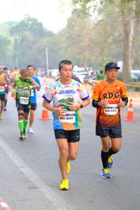 BIB: 
                            <button type="button" onclick="openModal(7805076)" class="btn btn-primary btn-sm float-right btn-popup" data-toggle="modal" data-target=".modal-high-quality">
                        <i class="fas fa-shopping-cart"></i> Add to Cart
                    </button>
                                            <button type="button" onclick="isThisMe(7805076, true)" class="btn btn-success btn-sm float-right btn-popup btn-isme hidden" data-toggle="tooltip" data-placement="bottom" title="นี่คือรูปของคุณใช่ไหม คลิกที่นี่เพื่อเอาเข้าอัลบั้ม">
                        <i class="fas fa-plus"></i> Add to album
                    </button>
                    <button type="button" onclick="isThisMe(7805076, false)" class="btn btn-warning btn-sm float-right btn-popup btn-isnotme hidden">
                        <i class="fas fa-ban"></i> Remove from album
                    </button>