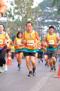BIB: 575, 153, 16929
                            <button type="button" onclick="openModal(8442461)" class="btn btn-primary btn-sm float-right btn-popup" data-toggle="modal" data-target=".modal-high-quality">
                        <i class="fas fa-shopping-cart"></i> Add to Cart
                    </button>
                                            <button type="button" onclick="isThisMe(8442461, true)" class="btn btn-success btn-sm float-right btn-popup btn-isme hidden" data-toggle="tooltip" data-placement="bottom" title="นี่คือรูปของคุณใช่ไหม คลิกที่นี่เพื่อเอาเข้าอัลบั้ม">
                        <i class="fas fa-plus"></i> Add to album
                    </button>
                    <button type="button" onclick="isThisMe(8442461, false)" class="btn btn-warning btn-sm float-right btn-popup btn-isnotme hidden">
                        <i class="fas fa-ban"></i> Remove from album
                    </button>