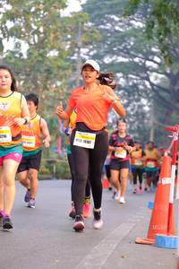 BIB: 1216, 16187
                            <button type="button" onclick="openModal(8451468)" class="btn btn-primary btn-sm float-right btn-popup" data-toggle="modal" data-target=".modal-high-quality">
                        <i class="fas fa-shopping-cart"></i> Add to Cart
                    </button>
                                            <button type="button" onclick="isThisMe(8451468, true)" class="btn btn-success btn-sm float-right btn-popup btn-isme hidden" data-toggle="tooltip" data-placement="bottom" title="นี่คือรูปของคุณใช่ไหม คลิกที่นี่เพื่อเอาเข้าอัลบั้ม">
                        <i class="fas fa-plus"></i> Add to album
                    </button>
                    <button type="button" onclick="isThisMe(8451468, false)" class="btn btn-warning btn-sm float-right btn-popup btn-isnotme hidden">
                        <i class="fas fa-ban"></i> Remove from album
                    </button>