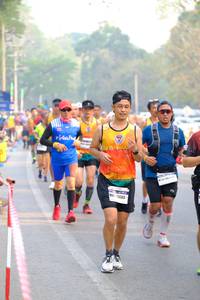 BIB: 43005
                            <button type="button" onclick="openModal(7852891)" class="btn btn-primary btn-sm float-right btn-popup" data-toggle="modal" data-target=".modal-high-quality">
                        <i class="fas fa-shopping-cart"></i> Add to Cart
                    </button>
                                            <button type="button" onclick="isThisMe(7852891, true)" class="btn btn-success btn-sm float-right btn-popup btn-isme hidden" data-toggle="tooltip" data-placement="bottom" title="นี่คือรูปของคุณใช่ไหม คลิกที่นี่เพื่อเอาเข้าอัลบั้ม">
                        <i class="fas fa-plus"></i> Add to album
                    </button>
                    <button type="button" onclick="isThisMe(7852891, false)" class="btn btn-warning btn-sm float-right btn-popup btn-isnotme hidden">
                        <i class="fas fa-ban"></i> Remove from album
                    </button>