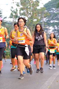 BIB: 15340, 1643
                            <button type="button" onclick="openModal(8453427)" class="btn btn-primary btn-sm float-right btn-popup" data-toggle="modal" data-target=".modal-high-quality">
                        <i class="fas fa-shopping-cart"></i> Add to Cart
                    </button>
                                            <button type="button" onclick="isThisMe(8453427, true)" class="btn btn-success btn-sm float-right btn-popup btn-isme hidden" data-toggle="tooltip" data-placement="bottom" title="นี่คือรูปของคุณใช่ไหม คลิกที่นี่เพื่อเอาเข้าอัลบั้ม">
                        <i class="fas fa-plus"></i> Add to album
                    </button>
                    <button type="button" onclick="isThisMe(8453427, false)" class="btn btn-warning btn-sm float-right btn-popup btn-isnotme hidden">
                        <i class="fas fa-ban"></i> Remove from album
                    </button>
