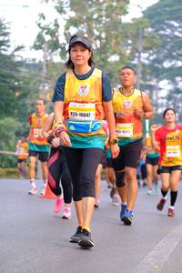 BIB: 16047, 16221
                            <button type="button" onclick="openModal(8427005)" class="btn btn-primary btn-sm float-right btn-popup" data-toggle="modal" data-target=".modal-high-quality">
                        <i class="fas fa-shopping-cart"></i> Add to Cart
                    </button>
                                            <button type="button" onclick="isThisMe(8427005, true)" class="btn btn-success btn-sm float-right btn-popup btn-isme hidden" data-toggle="tooltip" data-placement="bottom" title="นี่คือรูปของคุณใช่ไหม คลิกที่นี่เพื่อเอาเข้าอัลบั้ม">
                        <i class="fas fa-plus"></i> Add to album
                    </button>
                    <button type="button" onclick="isThisMe(8427005, false)" class="btn btn-warning btn-sm float-right btn-popup btn-isnotme hidden">
                        <i class="fas fa-ban"></i> Remove from album
                    </button>