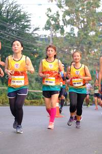 BIB: 10325, 11061, 15251
                            <button type="button" onclick="openModal(8450350)" class="btn btn-primary btn-sm float-right btn-popup" data-toggle="modal" data-target=".modal-high-quality">
                        <i class="fas fa-shopping-cart"></i> Add to Cart
                    </button>
                                            <button type="button" onclick="isThisMe(8450350, true)" class="btn btn-success btn-sm float-right btn-popup btn-isme hidden" data-toggle="tooltip" data-placement="bottom" title="นี่คือรูปของคุณใช่ไหม คลิกที่นี่เพื่อเอาเข้าอัลบั้ม">
                        <i class="fas fa-plus"></i> Add to album
                    </button>
                    <button type="button" onclick="isThisMe(8450350, false)" class="btn btn-warning btn-sm float-right btn-popup btn-isnotme hidden">
                        <i class="fas fa-ban"></i> Remove from album
                    </button>