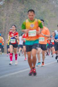 BIB: 
                            <button type="button" onclick="openModal(8918933)" class="btn btn-primary btn-sm float-right btn-popup" data-toggle="modal" data-target=".modal-high-quality">
                        <i class="fas fa-shopping-cart"></i> Add to Cart
                    </button>
                                            <button type="button" onclick="isThisMe(8918933, true)" class="btn btn-success btn-sm float-right btn-popup btn-isme hidden" data-toggle="tooltip" data-placement="bottom" title="นี่คือรูปของคุณใช่ไหม คลิกที่นี่เพื่อเอาเข้าอัลบั้ม">
                        <i class="fas fa-plus"></i> Add to album
                    </button>
                    <button type="button" onclick="isThisMe(8918933, false)" class="btn btn-warning btn-sm float-right btn-popup btn-isnotme hidden">
                        <i class="fas fa-ban"></i> Remove from album
                    </button>