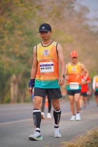 BIB: 42272
                            <button type="button" onclick="openModal(9219696)" class="btn btn-primary btn-sm float-right btn-popup" data-toggle="modal" data-target=".modal-high-quality">
                        <i class="fas fa-shopping-cart"></i> Add to Cart
                    </button>
                                            <button type="button" onclick="isThisMe(9219696, true)" class="btn btn-success btn-sm float-right btn-popup btn-isme hidden" data-toggle="tooltip" data-placement="bottom" title="นี่คือรูปของคุณใช่ไหม คลิกที่นี่เพื่อเอาเข้าอัลบั้ม">
                        <i class="fas fa-plus"></i> Add to album
                    </button>
                    <button type="button" onclick="isThisMe(9219696, false)" class="btn btn-warning btn-sm float-right btn-popup btn-isnotme hidden">
                        <i class="fas fa-ban"></i> Remove from album
                    </button>