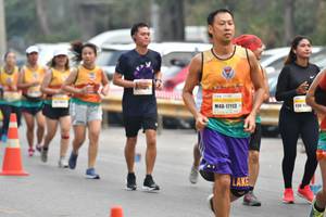 BIB: 17113, 
                            <button type="button" onclick="openModal(8843677)" class="btn btn-primary btn-sm float-right btn-popup" data-toggle="modal" data-target=".modal-high-quality">
                        <i class="fas fa-shopping-cart"></i> Add to Cart
                    </button>
                                            <button type="button" onclick="isThisMe(8843677, true)" class="btn btn-success btn-sm float-right btn-popup btn-isme hidden" data-toggle="tooltip" data-placement="bottom" title="นี่คือรูปของคุณใช่ไหม คลิกที่นี่เพื่อเอาเข้าอัลบั้ม">
                        <i class="fas fa-plus"></i> Add to album
                    </button>
                    <button type="button" onclick="isThisMe(8843677, false)" class="btn btn-warning btn-sm float-right btn-popup btn-isnotme hidden">
                        <i class="fas fa-ban"></i> Remove from album
                    </button>