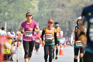 BIB: 45573, 40084, 47477
                            <button type="button" onclick="openModal(8888214)" class="btn btn-primary btn-sm float-right btn-popup" data-toggle="modal" data-target=".modal-high-quality">
                        <i class="fas fa-shopping-cart"></i> Add to Cart
                    </button>
                                            <button type="button" onclick="isThisMe(8888214, true)" class="btn btn-success btn-sm float-right btn-popup btn-isme hidden" data-toggle="tooltip" data-placement="bottom" title="นี่คือรูปของคุณใช่ไหม คลิกที่นี่เพื่อเอาเข้าอัลบั้ม">
                        <i class="fas fa-plus"></i> Add to album
                    </button>
                    <button type="button" onclick="isThisMe(8888214, false)" class="btn btn-warning btn-sm float-right btn-popup btn-isnotme hidden">
                        <i class="fas fa-ban"></i> Remove from album
                    </button>