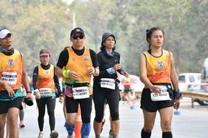 BIB: 41803, 46342, 42882, 48448
                            <button type="button" onclick="openModal(8856403)" class="btn btn-primary btn-sm float-right btn-popup" data-toggle="modal" data-target=".modal-high-quality">
                        <i class="fas fa-shopping-cart"></i> Add to Cart
                    </button>
                                            <button type="button" onclick="isThisMe(8856403, true)" class="btn btn-success btn-sm float-right btn-popup btn-isme hidden" data-toggle="tooltip" data-placement="bottom" title="นี่คือรูปของคุณใช่ไหม คลิกที่นี่เพื่อเอาเข้าอัลบั้ม">
                        <i class="fas fa-plus"></i> Add to album
                    </button>
                    <button type="button" onclick="isThisMe(8856403, false)" class="btn btn-warning btn-sm float-right btn-popup btn-isnotme hidden">
                        <i class="fas fa-ban"></i> Remove from album
                    </button>