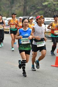 BIB: 27532, 25576
                            <button type="button" onclick="openModal(8843639)" class="btn btn-primary btn-sm float-right btn-popup" data-toggle="modal" data-target=".modal-high-quality">
                        <i class="fas fa-shopping-cart"></i> Add to Cart
                    </button>
                                            <button type="button" onclick="isThisMe(8843639, true)" class="btn btn-success btn-sm float-right btn-popup btn-isme hidden" data-toggle="tooltip" data-placement="bottom" title="นี่คือรูปของคุณใช่ไหม คลิกที่นี่เพื่อเอาเข้าอัลบั้ม">
                        <i class="fas fa-plus"></i> Add to album
                    </button>
                    <button type="button" onclick="isThisMe(8843639, false)" class="btn btn-warning btn-sm float-right btn-popup btn-isnotme hidden">
                        <i class="fas fa-ban"></i> Remove from album
                    </button>