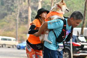 BIB: 
                            <button type="button" onclick="openModal(8857696)" class="btn btn-primary btn-sm float-right btn-popup" data-toggle="modal" data-target=".modal-high-quality">
                        <i class="fas fa-shopping-cart"></i> Add to Cart
                    </button>
                                            <button type="button" onclick="isThisMe(8857696, true)" class="btn btn-success btn-sm float-right btn-popup btn-isme hidden" data-toggle="tooltip" data-placement="bottom" title="นี่คือรูปของคุณใช่ไหม คลิกที่นี่เพื่อเอาเข้าอัลบั้ม">
                        <i class="fas fa-plus"></i> Add to album
                    </button>
                    <button type="button" onclick="isThisMe(8857696, false)" class="btn btn-warning btn-sm float-right btn-popup btn-isnotme hidden">
                        <i class="fas fa-ban"></i> Remove from album
                    </button>