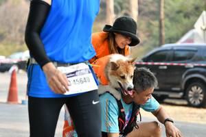 BIB: 45640
                            <button type="button" onclick="openModal(8857688)" class="btn btn-primary btn-sm float-right btn-popup" data-toggle="modal" data-target=".modal-high-quality">
                        <i class="fas fa-shopping-cart"></i> Add to Cart
                    </button>
                                            <button type="button" onclick="isThisMe(8857688, true)" class="btn btn-success btn-sm float-right btn-popup btn-isme hidden" data-toggle="tooltip" data-placement="bottom" title="นี่คือรูปของคุณใช่ไหม คลิกที่นี่เพื่อเอาเข้าอัลบั้ม">
                        <i class="fas fa-plus"></i> Add to album
                    </button>
                    <button type="button" onclick="isThisMe(8857688, false)" class="btn btn-warning btn-sm float-right btn-popup btn-isnotme hidden">
                        <i class="fas fa-ban"></i> Remove from album
                    </button>