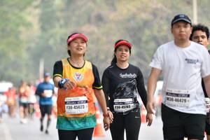 BIB: 46429, 45623, 45783
                            <button type="button" onclick="openModal(8854719)" class="btn btn-primary btn-sm float-right btn-popup" data-toggle="modal" data-target=".modal-high-quality">
                        <i class="fas fa-shopping-cart"></i> Add to Cart
                    </button>
                                            <button type="button" onclick="isThisMe(8854719, true)" class="btn btn-success btn-sm float-right btn-popup btn-isme hidden" data-toggle="tooltip" data-placement="bottom" title="นี่คือรูปของคุณใช่ไหม คลิกที่นี่เพื่อเอาเข้าอัลบั้ม">
                        <i class="fas fa-plus"></i> Add to album
                    </button>
                    <button type="button" onclick="isThisMe(8854719, false)" class="btn btn-warning btn-sm float-right btn-popup btn-isnotme hidden">
                        <i class="fas fa-ban"></i> Remove from album
                    </button>