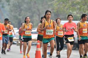 BIB: 25345, 014
                            <button type="button" onclick="openModal(8835543)" class="btn btn-primary btn-sm float-right btn-popup" data-toggle="modal" data-target=".modal-high-quality">
                        <i class="fas fa-shopping-cart"></i> Add to Cart
                    </button>
                                            <button type="button" onclick="isThisMe(8835543, true)" class="btn btn-success btn-sm float-right btn-popup btn-isme hidden" data-toggle="tooltip" data-placement="bottom" title="นี่คือรูปของคุณใช่ไหม คลิกที่นี่เพื่อเอาเข้าอัลบั้ม">
                        <i class="fas fa-plus"></i> Add to album
                    </button>
                    <button type="button" onclick="isThisMe(8835543, false)" class="btn btn-warning btn-sm float-right btn-popup btn-isnotme hidden">
                        <i class="fas fa-ban"></i> Remove from album
                    </button>