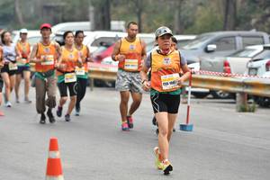 BIB: 108
                            <button type="button" onclick="openModal(8842746)" class="btn btn-primary btn-sm float-right btn-popup" data-toggle="modal" data-target=".modal-high-quality">
                        <i class="fas fa-shopping-cart"></i> Add to Cart
                    </button>
                                            <button type="button" onclick="isThisMe(8842746, true)" class="btn btn-success btn-sm float-right btn-popup btn-isme hidden" data-toggle="tooltip" data-placement="bottom" title="นี่คือรูปของคุณใช่ไหม คลิกที่นี่เพื่อเอาเข้าอัลบั้ม">
                        <i class="fas fa-plus"></i> Add to album
                    </button>
                    <button type="button" onclick="isThisMe(8842746, false)" class="btn btn-warning btn-sm float-right btn-popup btn-isnotme hidden">
                        <i class="fas fa-ban"></i> Remove from album
                    </button>