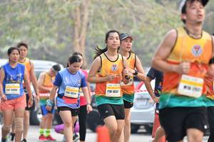 BIB: 1035, 145, 10334, 150, 1049, 
                            <button type="button" onclick="openModal(8834924)" class="btn btn-primary btn-sm float-right btn-popup" data-toggle="modal" data-target=".modal-high-quality">
                        <i class="fas fa-shopping-cart"></i> Add to Cart
                    </button>
                                            <button type="button" onclick="isThisMe(8834924, true)" class="btn btn-success btn-sm float-right btn-popup btn-isme hidden" data-toggle="tooltip" data-placement="bottom" title="นี่คือรูปของคุณใช่ไหม คลิกที่นี่เพื่อเอาเข้าอัลบั้ม">
                        <i class="fas fa-plus"></i> Add to album
                    </button>
                    <button type="button" onclick="isThisMe(8834924, false)" class="btn btn-warning btn-sm float-right btn-popup btn-isnotme hidden">
                        <i class="fas fa-ban"></i> Remove from album
                    </button>