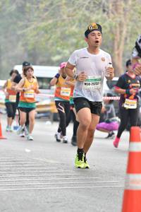 BIB: 25737
                            <button type="button" onclick="openModal(8834836)" class="btn btn-primary btn-sm float-right btn-popup" data-toggle="modal" data-target=".modal-high-quality">
                        <i class="fas fa-shopping-cart"></i> Add to Cart
                    </button>
                                            <button type="button" onclick="isThisMe(8834836, true)" class="btn btn-success btn-sm float-right btn-popup btn-isme hidden" data-toggle="tooltip" data-placement="bottom" title="นี่คือรูปของคุณใช่ไหม คลิกที่นี่เพื่อเอาเข้าอัลบั้ม">
                        <i class="fas fa-plus"></i> Add to album
                    </button>
                    <button type="button" onclick="isThisMe(8834836, false)" class="btn btn-warning btn-sm float-right btn-popup btn-isnotme hidden">
                        <i class="fas fa-ban"></i> Remove from album
                    </button>