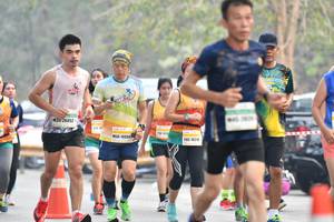 BIB: 26052, 1034, 10318
                            <button type="button" onclick="openModal(8834977)" class="btn btn-primary btn-sm float-right btn-popup" data-toggle="modal" data-target=".modal-high-quality">
                        <i class="fas fa-shopping-cart"></i> Add to Cart
                    </button>
                                            <button type="button" onclick="isThisMe(8834977, true)" class="btn btn-success btn-sm float-right btn-popup btn-isme hidden" data-toggle="tooltip" data-placement="bottom" title="นี่คือรูปของคุณใช่ไหม คลิกที่นี่เพื่อเอาเข้าอัลบั้ม">
                        <i class="fas fa-plus"></i> Add to album
                    </button>
                    <button type="button" onclick="isThisMe(8834977, false)" class="btn btn-warning btn-sm float-right btn-popup btn-isnotme hidden">
                        <i class="fas fa-ban"></i> Remove from album
                    </button>