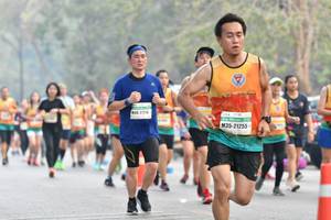 BIB: 21255
                            <button type="button" onclick="openModal(8834914)" class="btn btn-primary btn-sm float-right btn-popup" data-toggle="modal" data-target=".modal-high-quality">
                        <i class="fas fa-shopping-cart"></i> Add to Cart
                    </button>
                                            <button type="button" onclick="isThisMe(8834914, true)" class="btn btn-success btn-sm float-right btn-popup btn-isme hidden" data-toggle="tooltip" data-placement="bottom" title="นี่คือรูปของคุณใช่ไหม คลิกที่นี่เพื่อเอาเข้าอัลบั้ม">
                        <i class="fas fa-plus"></i> Add to album
                    </button>
                    <button type="button" onclick="isThisMe(8834914, false)" class="btn btn-warning btn-sm float-right btn-popup btn-isnotme hidden">
                        <i class="fas fa-ban"></i> Remove from album
                    </button>