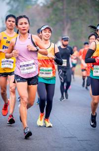 BIB: 41355, 40804, 20663
                            <button type="button" onclick="openModal(9639901)" class="btn btn-primary btn-sm float-right btn-popup" data-toggle="modal" data-target=".modal-high-quality">
                        <i class="fas fa-shopping-cart"></i> Add to Cart
                    </button>
                                            <button type="button" onclick="isThisMe(9639901, true)" class="btn btn-success btn-sm float-right btn-popup btn-isme hidden" data-toggle="tooltip" data-placement="bottom" title="นี่คือรูปของคุณใช่ไหม คลิกที่นี่เพื่อเอาเข้าอัลบั้ม">
                        <i class="fas fa-plus"></i> Add to album
                    </button>
                    <button type="button" onclick="isThisMe(9639901, false)" class="btn btn-warning btn-sm float-right btn-popup btn-isnotme hidden">
                        <i class="fas fa-ban"></i> Remove from album
                    </button>
