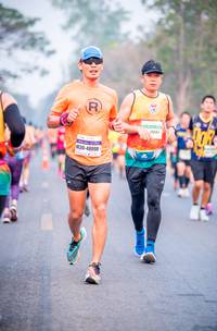 BIB: 26661, 48098
                            <button type="button" onclick="openModal(9640848)" class="btn btn-primary btn-sm float-right btn-popup" data-toggle="modal" data-target=".modal-high-quality">
                        <i class="fas fa-shopping-cart"></i> Add to Cart
                    </button>
                                            <button type="button" onclick="isThisMe(9640848, true)" class="btn btn-success btn-sm float-right btn-popup btn-isme hidden" data-toggle="tooltip" data-placement="bottom" title="นี่คือรูปของคุณใช่ไหม คลิกที่นี่เพื่อเอาเข้าอัลบั้ม">
                        <i class="fas fa-plus"></i> Add to album
                    </button>
                    <button type="button" onclick="isThisMe(9640848, false)" class="btn btn-warning btn-sm float-right btn-popup btn-isnotme hidden">
                        <i class="fas fa-ban"></i> Remove from album
                    </button>