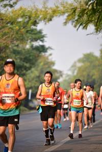 BIB: 4521
                            <button type="button" onclick="openModal(9807030)" class="btn btn-primary btn-sm float-right btn-popup" data-toggle="modal" data-target=".modal-high-quality">
                        <i class="fas fa-shopping-cart"></i> Add to Cart
                    </button>
                                            <button type="button" onclick="isThisMe(9807030, true)" class="btn btn-success btn-sm float-right btn-popup btn-isme hidden" data-toggle="tooltip" data-placement="bottom" title="นี่คือรูปของคุณใช่ไหม คลิกที่นี่เพื่อเอาเข้าอัลบั้ม">
                        <i class="fas fa-plus"></i> Add to album
                    </button>
                    <button type="button" onclick="isThisMe(9807030, false)" class="btn btn-warning btn-sm float-right btn-popup btn-isnotme hidden">
                        <i class="fas fa-ban"></i> Remove from album
                    </button>