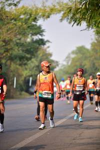 BIB: 21862
                            <button type="button" onclick="openModal(8306702)" class="btn btn-primary btn-sm float-right btn-popup" data-toggle="modal" data-target=".modal-high-quality">
                        <i class="fas fa-shopping-cart"></i> Add to Cart
                    </button>
                                            <button type="button" onclick="isThisMe(8306702, true)" class="btn btn-success btn-sm float-right btn-popup btn-isme hidden" data-toggle="tooltip" data-placement="bottom" title="นี่คือรูปของคุณใช่ไหม คลิกที่นี่เพื่อเอาเข้าอัลบั้ม">
                        <i class="fas fa-plus"></i> Add to album
                    </button>
                    <button type="button" onclick="isThisMe(8306702, false)" class="btn btn-warning btn-sm float-right btn-popup btn-isnotme hidden">
                        <i class="fas fa-ban"></i> Remove from album
                    </button>