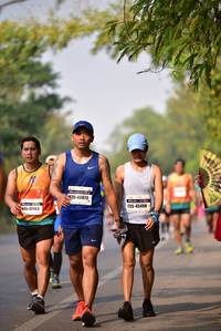 BIB: 48138
                            <button type="button" onclick="openModal(8310985)" class="btn btn-primary btn-sm float-right btn-popup" data-toggle="modal" data-target=".modal-high-quality">
                        <i class="fas fa-shopping-cart"></i> Add to Cart
                    </button>
                                            <button type="button" onclick="isThisMe(8310985, true)" class="btn btn-success btn-sm float-right btn-popup btn-isme hidden" data-toggle="tooltip" data-placement="bottom" title="นี่คือรูปของคุณใช่ไหม คลิกที่นี่เพื่อเอาเข้าอัลบั้ม">
                        <i class="fas fa-plus"></i> Add to album
                    </button>
                    <button type="button" onclick="isThisMe(8310985, false)" class="btn btn-warning btn-sm float-right btn-popup btn-isnotme hidden">
                        <i class="fas fa-ban"></i> Remove from album
                    </button>