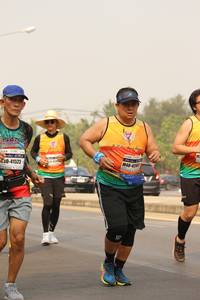 BIB: 41523
                            <button type="button" onclick="openModal(8863261)" class="btn btn-primary btn-sm float-right btn-popup" data-toggle="modal" data-target=".modal-high-quality">
                        <i class="fas fa-shopping-cart"></i> Add to Cart
                    </button>
                                            <button type="button" onclick="isThisMe(8863261, true)" class="btn btn-success btn-sm float-right btn-popup btn-isme hidden" data-toggle="tooltip" data-placement="bottom" title="นี่คือรูปของคุณใช่ไหม คลิกที่นี่เพื่อเอาเข้าอัลบั้ม">
                        <i class="fas fa-plus"></i> Add to album
                    </button>
                    <button type="button" onclick="isThisMe(8863261, false)" class="btn btn-warning btn-sm float-right btn-popup btn-isnotme hidden">
                        <i class="fas fa-ban"></i> Remove from album
                    </button>