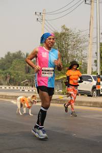 BIB: 42251
                            <button type="button" onclick="openModal(8866207)" class="btn btn-primary btn-sm float-right btn-popup" data-toggle="modal" data-target=".modal-high-quality">
                        <i class="fas fa-shopping-cart"></i> Add to Cart
                    </button>
                                            <button type="button" onclick="isThisMe(8866207, true)" class="btn btn-success btn-sm float-right btn-popup btn-isme hidden" data-toggle="tooltip" data-placement="bottom" title="นี่คือรูปของคุณใช่ไหม คลิกที่นี่เพื่อเอาเข้าอัลบั้ม">
                        <i class="fas fa-plus"></i> Add to album
                    </button>
                    <button type="button" onclick="isThisMe(8866207, false)" class="btn btn-warning btn-sm float-right btn-popup btn-isnotme hidden">
                        <i class="fas fa-ban"></i> Remove from album
                    </button>