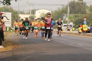 BIB: 
                            <button type="button" onclick="openModal(8804061)" class="btn btn-primary btn-sm float-right btn-popup" data-toggle="modal" data-target=".modal-high-quality">
                        <i class="fas fa-shopping-cart"></i> Add to Cart
                    </button>
                                            <button type="button" onclick="isThisMe(8804061, true)" class="btn btn-success btn-sm float-right btn-popup btn-isme hidden" data-toggle="tooltip" data-placement="bottom" title="นี่คือรูปของคุณใช่ไหม คลิกที่นี่เพื่อเอาเข้าอัลบั้ม">
                        <i class="fas fa-plus"></i> Add to album
                    </button>
                    <button type="button" onclick="isThisMe(8804061, false)" class="btn btn-warning btn-sm float-right btn-popup btn-isnotme hidden">
                        <i class="fas fa-ban"></i> Remove from album
                    </button>