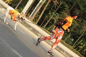 BIB: 
                            <button type="button" onclick="openModal(8866243)" class="btn btn-primary btn-sm float-right btn-popup" data-toggle="modal" data-target=".modal-high-quality">
                        <i class="fas fa-shopping-cart"></i> Add to Cart
                    </button>
                                            <button type="button" onclick="isThisMe(8866243, true)" class="btn btn-success btn-sm float-right btn-popup btn-isme hidden" data-toggle="tooltip" data-placement="bottom" title="นี่คือรูปของคุณใช่ไหม คลิกที่นี่เพื่อเอาเข้าอัลบั้ม">
                        <i class="fas fa-plus"></i> Add to album
                    </button>
                    <button type="button" onclick="isThisMe(8866243, false)" class="btn btn-warning btn-sm float-right btn-popup btn-isnotme hidden">
                        <i class="fas fa-ban"></i> Remove from album
                    </button>