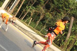 BIB: 
                            <button type="button" onclick="openModal(8866240)" class="btn btn-primary btn-sm float-right btn-popup" data-toggle="modal" data-target=".modal-high-quality">
                        <i class="fas fa-shopping-cart"></i> Add to Cart
                    </button>
                                            <button type="button" onclick="isThisMe(8866240, true)" class="btn btn-success btn-sm float-right btn-popup btn-isme hidden" data-toggle="tooltip" data-placement="bottom" title="นี่คือรูปของคุณใช่ไหม คลิกที่นี่เพื่อเอาเข้าอัลบั้ม">
                        <i class="fas fa-plus"></i> Add to album
                    </button>
                    <button type="button" onclick="isThisMe(8866240, false)" class="btn btn-warning btn-sm float-right btn-popup btn-isnotme hidden">
                        <i class="fas fa-ban"></i> Remove from album
                    </button>