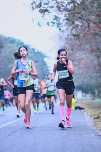 BIB: 25431, 20211
                            <button type="button" onclick="openModal(9074874)" class="btn btn-primary btn-sm float-right btn-popup" data-toggle="modal" data-target=".modal-high-quality">
                        <i class="fas fa-shopping-cart"></i> Add to Cart
                    </button>
                                            <button type="button" onclick="isThisMe(9074874, true)" class="btn btn-success btn-sm float-right btn-popup btn-isme hidden" data-toggle="tooltip" data-placement="bottom" title="นี่คือรูปของคุณใช่ไหม คลิกที่นี่เพื่อเอาเข้าอัลบั้ม">
                        <i class="fas fa-plus"></i> Add to album
                    </button>
                    <button type="button" onclick="isThisMe(9074874, false)" class="btn btn-warning btn-sm float-right btn-popup btn-isnotme hidden">
                        <i class="fas fa-ban"></i> Remove from album
                    </button>