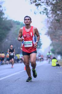BIB: 1144, 25908
                            <button type="button" onclick="openModal(9076804)" class="btn btn-primary btn-sm float-right btn-popup" data-toggle="modal" data-target=".modal-high-quality">
                        <i class="fas fa-shopping-cart"></i> Add to Cart
                    </button>
                                            <button type="button" onclick="isThisMe(9076804, true)" class="btn btn-success btn-sm float-right btn-popup btn-isme hidden" data-toggle="tooltip" data-placement="bottom" title="นี่คือรูปของคุณใช่ไหม คลิกที่นี่เพื่อเอาเข้าอัลบั้ม">
                        <i class="fas fa-plus"></i> Add to album
                    </button>
                    <button type="button" onclick="isThisMe(9076804, false)" class="btn btn-warning btn-sm float-right btn-popup btn-isnotme hidden">
                        <i class="fas fa-ban"></i> Remove from album
                    </button>
