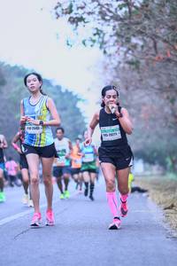 BIB: 25431
                            <button type="button" onclick="openModal(9074876)" class="btn btn-primary btn-sm float-right btn-popup" data-toggle="modal" data-target=".modal-high-quality">
                        <i class="fas fa-shopping-cart"></i> Add to Cart
                    </button>
                                            <button type="button" onclick="isThisMe(9074876, true)" class="btn btn-success btn-sm float-right btn-popup btn-isme hidden" data-toggle="tooltip" data-placement="bottom" title="นี่คือรูปของคุณใช่ไหม คลิกที่นี่เพื่อเอาเข้าอัลบั้ม">
                        <i class="fas fa-plus"></i> Add to album
                    </button>
                    <button type="button" onclick="isThisMe(9074876, false)" class="btn btn-warning btn-sm float-right btn-popup btn-isnotme hidden">
                        <i class="fas fa-ban"></i> Remove from album
                    </button>