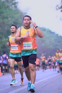 BIB: 26377, 48421
                            <button type="button" onclick="openModal(8375662)" class="btn btn-primary btn-sm float-right btn-popup" data-toggle="modal" data-target=".modal-high-quality">
                        <i class="fas fa-shopping-cart"></i> Add to Cart
                    </button>
                                            <button type="button" onclick="isThisMe(8375662, true)" class="btn btn-success btn-sm float-right btn-popup btn-isme hidden" data-toggle="tooltip" data-placement="bottom" title="นี่คือรูปของคุณใช่ไหม คลิกที่นี่เพื่อเอาเข้าอัลบั้ม">
                        <i class="fas fa-plus"></i> Add to album
                    </button>
                    <button type="button" onclick="isThisMe(8375662, false)" class="btn btn-warning btn-sm float-right btn-popup btn-isnotme hidden">
                        <i class="fas fa-ban"></i> Remove from album
                    </button>