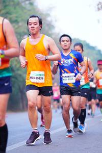 BIB: 25835, 41526
                            <button type="button" onclick="openModal(8428698)" class="btn btn-primary btn-sm float-right btn-popup" data-toggle="modal" data-target=".modal-high-quality">
                        <i class="fas fa-shopping-cart"></i> Add to Cart
                    </button>
                                            <button type="button" onclick="isThisMe(8428698, true)" class="btn btn-success btn-sm float-right btn-popup btn-isme hidden" data-toggle="tooltip" data-placement="bottom" title="นี่คือรูปของคุณใช่ไหม คลิกที่นี่เพื่อเอาเข้าอัลบั้ม">
                        <i class="fas fa-plus"></i> Add to album
                    </button>
                    <button type="button" onclick="isThisMe(8428698, false)" class="btn btn-warning btn-sm float-right btn-popup btn-isnotme hidden">
                        <i class="fas fa-ban"></i> Remove from album
                    </button>