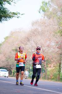 BIB: 
                            <button type="button" onclick="openModal(7691916)" class="btn btn-primary btn-sm float-right btn-popup" data-toggle="modal" data-target=".modal-high-quality">
                        <i class="fas fa-shopping-cart"></i> Add to Cart
                    </button>
                                            <button type="button" onclick="isThisMe(7691916, true)" class="btn btn-success btn-sm float-right btn-popup btn-isme hidden" data-toggle="tooltip" data-placement="bottom" title="นี่คือรูปของคุณใช่ไหม คลิกที่นี่เพื่อเอาเข้าอัลบั้ม">
                        <i class="fas fa-plus"></i> Add to album
                    </button>
                    <button type="button" onclick="isThisMe(7691916, false)" class="btn btn-warning btn-sm float-right btn-popup btn-isnotme hidden">
                        <i class="fas fa-ban"></i> Remove from album
                    </button>