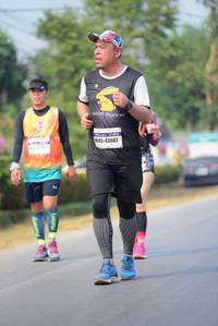 BIB: 43082
                            <button type="button" onclick="openModal(10359975)" class="btn btn-primary btn-sm float-right btn-popup" data-toggle="modal" data-target=".modal-high-quality">
                        <i class="fas fa-shopping-cart"></i> Add to Cart
                    </button>
                                            <button type="button" onclick="isThisMe(10359975, true)" class="btn btn-success btn-sm float-right btn-popup btn-isme hidden" data-toggle="tooltip" data-placement="bottom" title="นี่คือรูปของคุณใช่ไหม คลิกที่นี่เพื่อเอาเข้าอัลบั้ม">
                        <i class="fas fa-plus"></i> Add to album
                    </button>
                    <button type="button" onclick="isThisMe(10359975, false)" class="btn btn-warning btn-sm float-right btn-popup btn-isnotme hidden">
                        <i class="fas fa-ban"></i> Remove from album
                    </button>