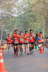 BIB: 4800
                            <button type="button" onclick="openModal(9485641)" class="btn btn-primary btn-sm float-right btn-popup" data-toggle="modal" data-target=".modal-high-quality">
                        <i class="fas fa-shopping-cart"></i> Add to Cart
                    </button>
                                            <button type="button" onclick="isThisMe(9485641, true)" class="btn btn-success btn-sm float-right btn-popup btn-isme hidden" data-toggle="tooltip" data-placement="bottom" title="นี่คือรูปของคุณใช่ไหม คลิกที่นี่เพื่อเอาเข้าอัลบั้ม">
                        <i class="fas fa-plus"></i> Add to album
                    </button>
                    <button type="button" onclick="isThisMe(9485641, false)" class="btn btn-warning btn-sm float-right btn-popup btn-isnotme hidden">
                        <i class="fas fa-ban"></i> Remove from album
                    </button>