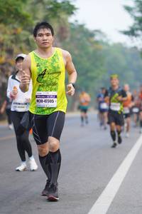 BIB: 47305
                            <button type="button" onclick="openModal(9131223)" class="btn btn-primary btn-sm float-right btn-popup" data-toggle="modal" data-target=".modal-high-quality">
                        <i class="fas fa-shopping-cart"></i> Add to Cart
                    </button>
                                            <button type="button" onclick="isThisMe(9131223, true)" class="btn btn-success btn-sm float-right btn-popup btn-isme hidden" data-toggle="tooltip" data-placement="bottom" title="นี่คือรูปของคุณใช่ไหม คลิกที่นี่เพื่อเอาเข้าอัลบั้ม">
                        <i class="fas fa-plus"></i> Add to album
                    </button>
                    <button type="button" onclick="isThisMe(9131223, false)" class="btn btn-warning btn-sm float-right btn-popup btn-isnotme hidden">
                        <i class="fas fa-ban"></i> Remove from album
                    </button>